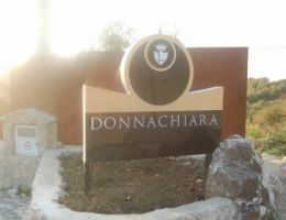 Immagine 4 di CODA DI VOLPE D.O.C.