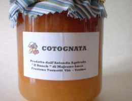 Immagine 1 di CONFETTURA COTOGNATA AGRICOLA IL RUNCH
