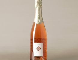 Immagine 1 di ROSE' SPUMANTE BRUT PINOT NERO V.S.Q. POTAMOTOCO LE CORNE