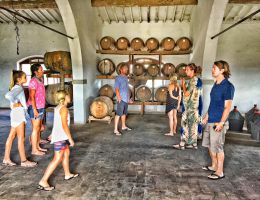 Immagine 5 di LEOPOLDO I.G.T. TOSCANA ROSSO