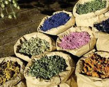 Immagine 1 di Piante Officinali