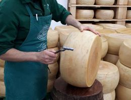 Immagine 4 di GRANA MORAVIA