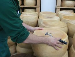 Immagine 3 di GRANA MORAVIA