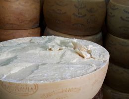 Immagine 5 di GRANA MORAVIA