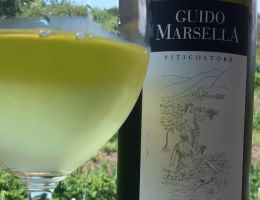 Immagine 1 di FIANO DI AVELLINO D.O.C.G. GUIDO MARSELLA