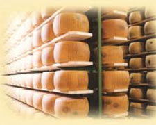 Immagine 2 di PARMIGIANO REGGIANO D.O.P. 24 MESI