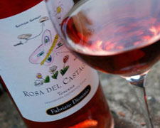 Immagine 1 di ROSA DEL CASTAGNO I.G.T. SYRAH ROSA TOSCANA