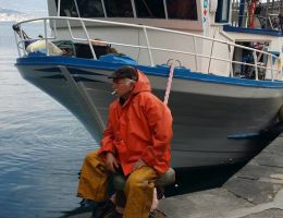 Immagine 2 di COLATURA DI ALICI DI CETARA