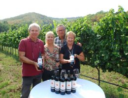 Immagine 4 di COLLI EUGANEI ROSSO D.O.C. SERRO