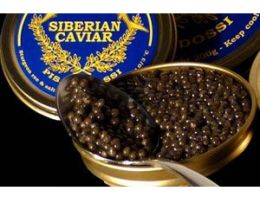 Immagine 5 di CAVIALE DI MILANO ALTISSIMA  QUALITA' ACQUACOLTURA PISANI DOSSI