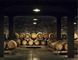 Immagine 3 di C.O.F. RIBOLLA GIALLA CASTELLO DI BUTTRIO