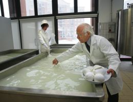 Immagine 1 di MOZZARELLA DI BUFALA ALLEVAMENTO PIEMONTESE