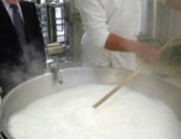 Immagine 2 di MOZZARELLA DI BUFALA ALLEVAMENTO PIEMONTESE