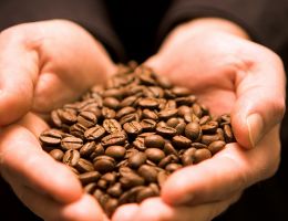 Immagine 5 di LINEA BAR - CAFFÉ ESPRESSO IN GRANI A.NANNINI