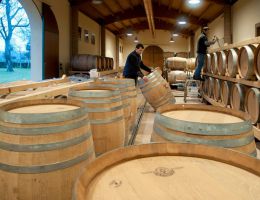 Immagine 4 di VIGNA COSTA  COLLI EUGANEI D.O.C. CABERNET SAUVIGNON