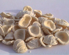 Immagine 1 di Orecchiette Artigianali