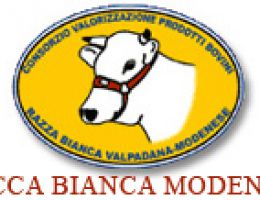 Immagine 3 di PARMIGIANO REGGIANO D.O.P. 24 MESI DA BIANCA MODENESE CASEIFICIO ROSOLA