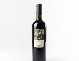 Immagine 1 di COLLI PESARESI SANGIOVESE RISERVA D.O.C. GALILEO