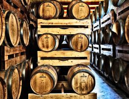 Immagine 4 di COLLI PESARESI SANGIOVESE RISERVA D.O.C. GALILEO