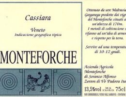 Immagine 1 di CASSIANA VENETO BIANCO I.G.T.