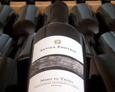 Immagine 1 di PUGLIA NERO DI TROIA I.G.T.