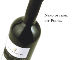 Immagine 2 di PUGLIA NERO DI TROIA I.G.T.