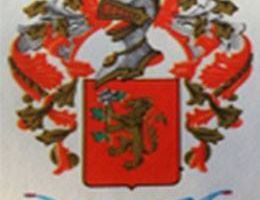 Immagine 2 di OLIO EXTRAVERGINE DI OLIVA BIO TOSCANO I.G.P. QUALITA' SUPERIORE