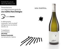 Immagine 1 di CILENTO FIANO D.O.C. UNA MATTINA BIOLOGICO