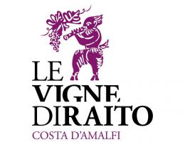 Immagine 2 di COSTA D'AMALFI ROSSO D.O.C. RAGIS