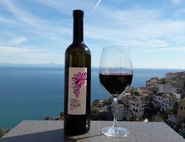 Immagine 3 di COSTA D'AMALFI ROSSO D.O.C. RAGIS