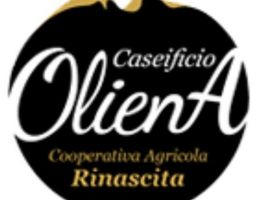 Immagine 2 di PECORINO SOLE DI OLIENA