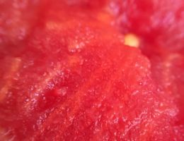 Immagine 4 di FILETTI DI POMODORI PELATI A MANO