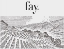 Immagine 2 di SFORZATO DI VALTELLINA D.O.C.G. RONCO DEL PICCHIO SANDRO FAY