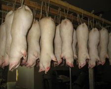 Immagine 2 di COTECHINO & ZAMPONE GIOVANNINI SALUMI