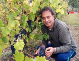 Immagine 3 di I.G.T. PSYCO ROSSO DI TOSCANA