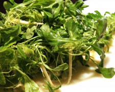 Immagine 2 di RAPERONZOLO BRESCIANO AGRI BOMPIERI