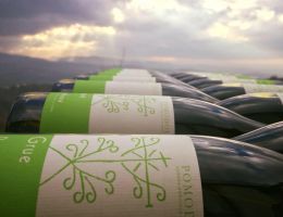 Immagine 1 di COLLI TORTONESI TIMORASSO D.O.C. GRUE POMODOLCE VIGNA E VINI