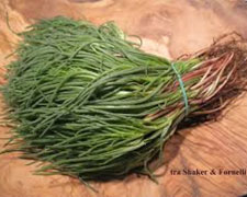 Immagine 1 di Barba dei Frati di Latina