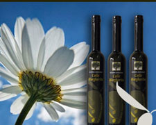 Immagine 1 di OLIO EXTRAVERGINE DI OLIVA D.O.P. CARTOCETO CATEGORIA SUPERIORE