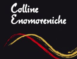 Immagine 1 di GARDA MERLOT D.O.C. LE VELE CANTINA COLLI MORENICI