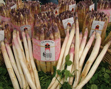 Immagine 1 di ASPARAGI ROSA  DI CILAVEGNA