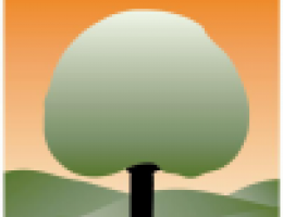 Immagine 3 di LENTICCHIE DI COLFIORITO