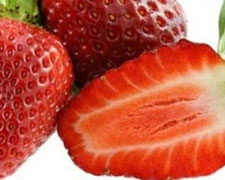 Immagine 1 di FRAGOLA DI TORTONA CASCINA FOLLETTO