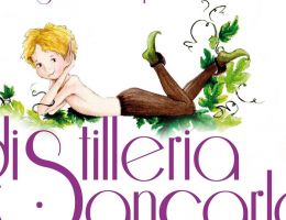 Immagine 2 di GRAPPA SUN VERA VITIGNO NEBBIOLO ​​​​​​​BAGNOMARIA ALLA PIEMOTESE DOPPIA DISTILLAZIONE DISTILLERIA SANCARLO