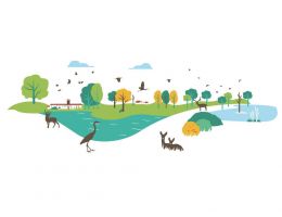 Immagine 4 di RISO CARNAROLI SUPERFINO RISERVA SAN MASSIMO