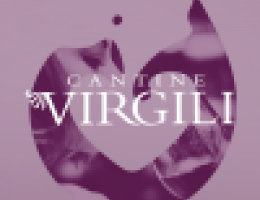 Immagine 2 di LAMBRUSCO MANTOVANO  MILLESIMATO D.O.C. LOGHINO DANTE CANTINA VIRGILI