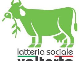 Immagine 5 di FORMAI DE MUT D.O.P. DELL'ALTA VALLE BREMBANA