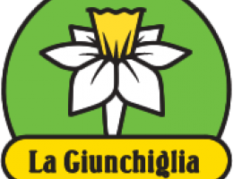 Immagine 2 di FORMAGGIO PECORINO STAGIONATO IN FOSSA