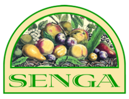 Immagine 2 di MOSTARDA MANTOVANA DI MELA AGRI SENGA