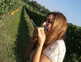 Immagine 3 di ALTO MINCIO MERLOT I.G.T. MONTE CERVO TENUTA MADDALENA